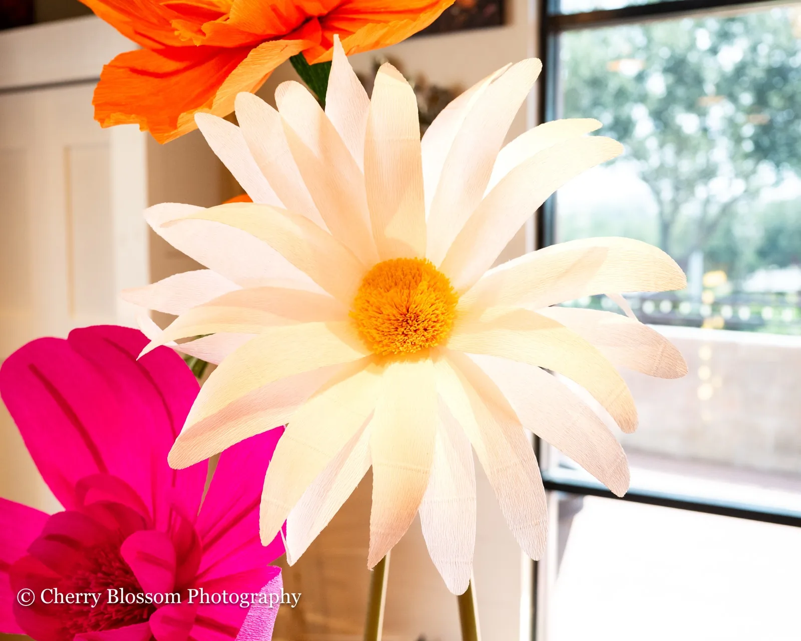 Preferred vendor showcase 85 at The Venue Clermont wedding and event expo in Clermont, Florida